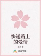 快递路上的爱情