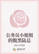 公务员小姐姐的腹黑陆总