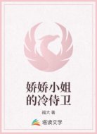 娇娇小姐的冷侍卫