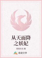 从天而降之妖妃