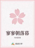 寥寥朝落暮