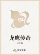 龙鹰传奇