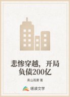 悲惨穿越，开局负债200亿