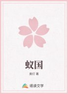 蚁国