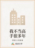 我不当高手很多年