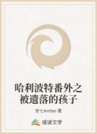 哈利波特番外之被遗落的孩子