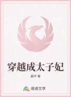 穿越成太子妃
