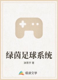 绿茵足球系统