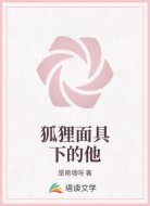 狐狸面具下的他