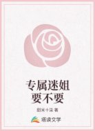 专属迷姐要不要