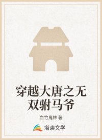 穿越大唐之无双驸马爷