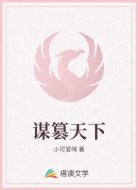 谋篡天下