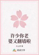 许少你老婆又翻墙啦