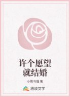 许个愿望就结婚