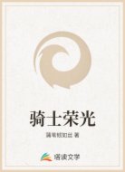 骑士荣光