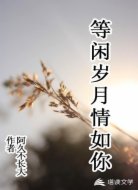 等闲岁月情如你