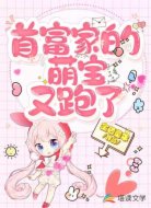 首富家的萌宝又跑了