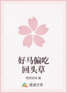 好马偏吃回头草