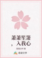 萧萧笙箫，入我心