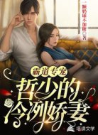 霸道专宠:哲少的冷冽娇妻