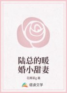 陆总的暖婚小甜妻