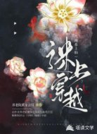 当佛系上仙迷上穿越