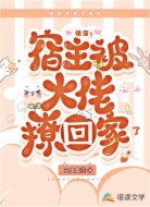 快穿:宿主被大佬撩回家了