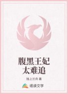 腹黑王妃太难追