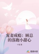 宠妻成瘾：顾总的落跑小甜心