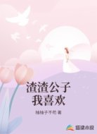 渣渣公子我喜欢