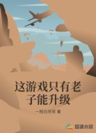 這游戲只有老子能升級