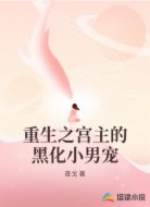 重生之宫主的黑化小男宠