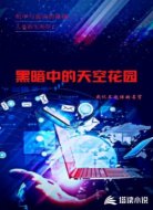 黑暗中的天空花园