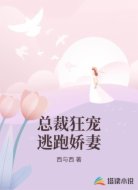 总裁狂宠逃跑娇妻