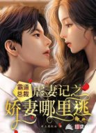 霸道总裁虐妻记之：娇妻哪里逃？