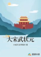 大宋武状元