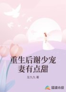 重生后谢少宠妻有点甜