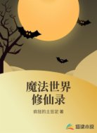 魔法世界修仙录