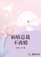 病娇总裁不离婚