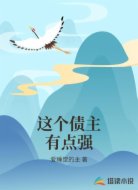 这个债主有点强