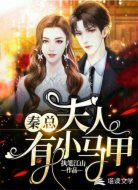 秦总，夫人有小马甲