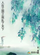 人在三国之我乱了天下