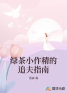 綠茶小作精的追夫指南