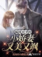 偏执容爷的小娇妻又美又飒