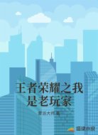王者荣耀之我是老玩家