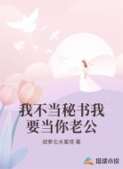 我不当秘书我要当你老公