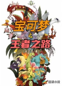 宝可梦之王者之路