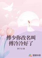 傅少你改名叫傅冷冷好了
