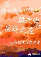 论被一块三明治骗走的高岭之花