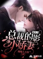重生之总裁的影后小娇妻